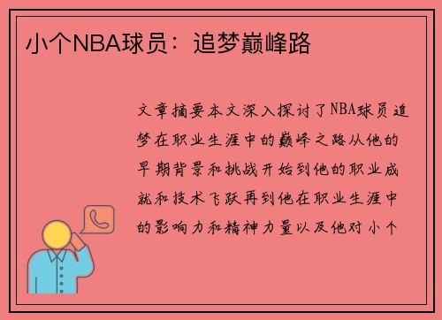 小个NBA球员：追梦巅峰路